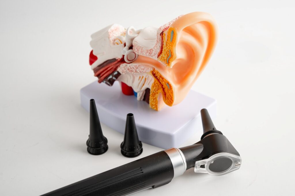 Otoscope with an ear model